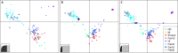 Fig 5