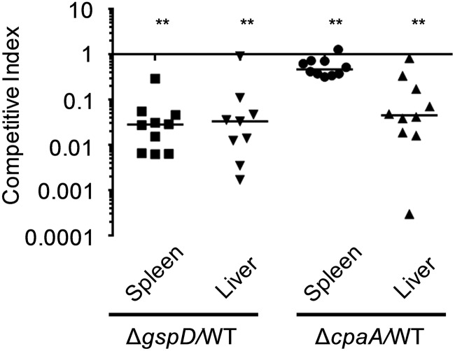 FIG 6