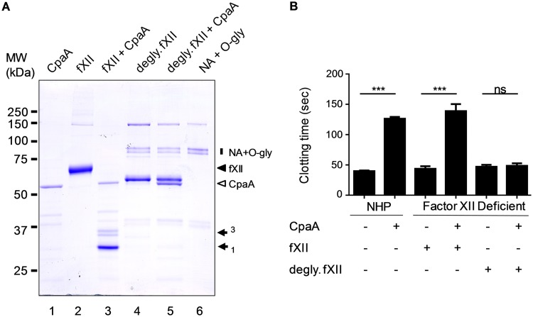 FIG 4