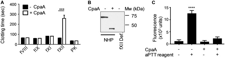 FIG 2