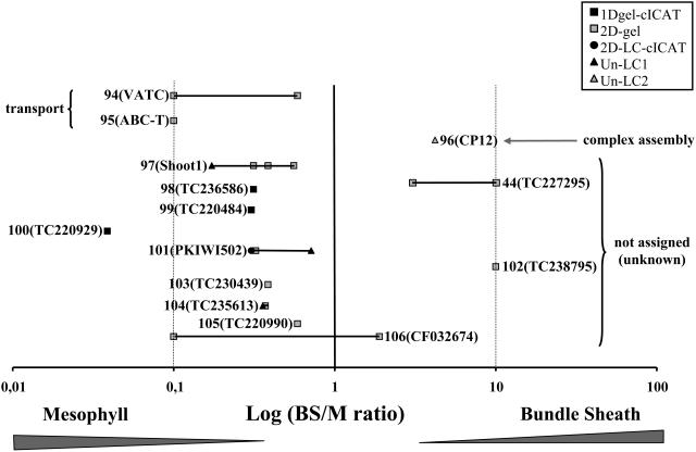 Figure 9.