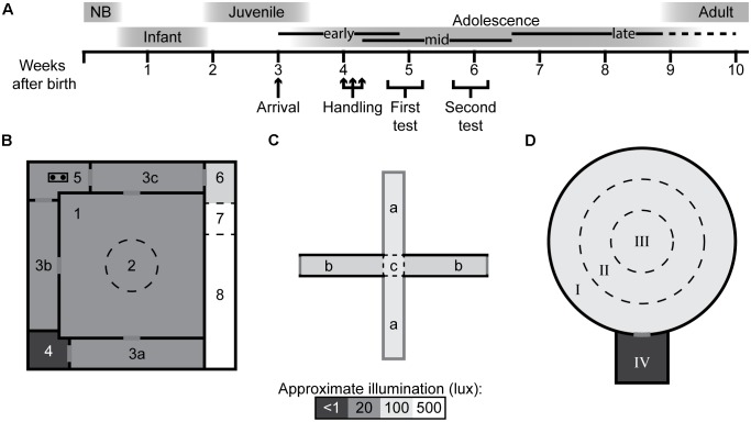 FIGURE 1