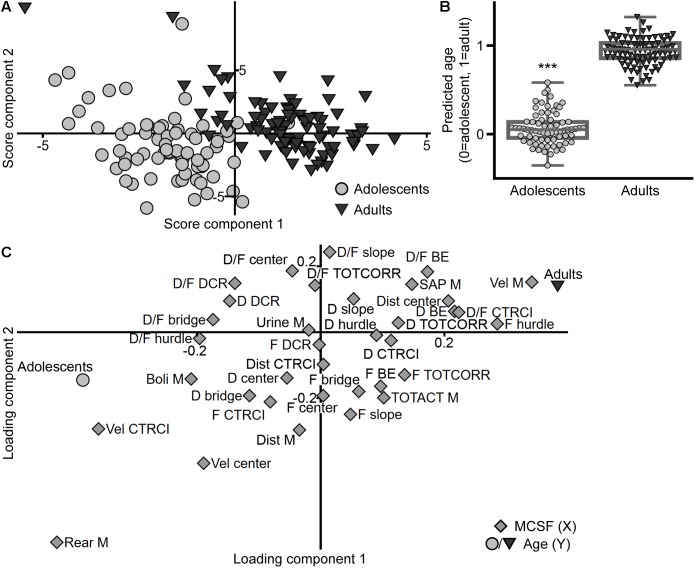 FIGURE 12