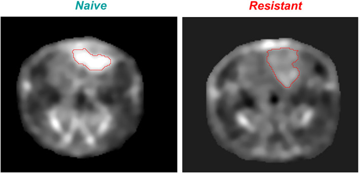 FIGURE 4