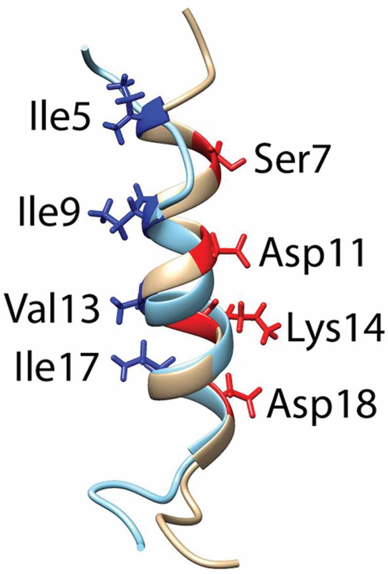 Figure 6.