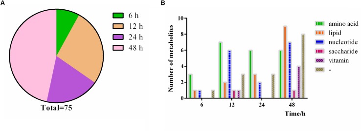 FIGURE 11