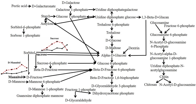 FIGURE 3