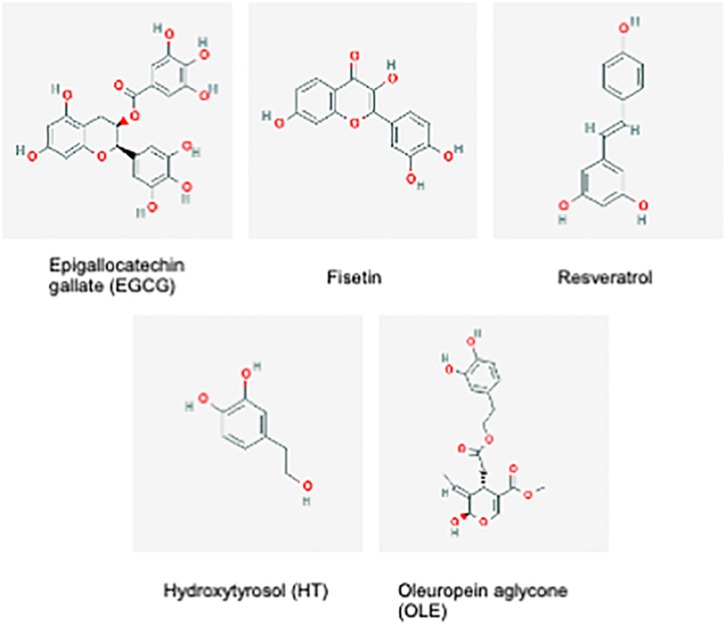 FIGURE 2