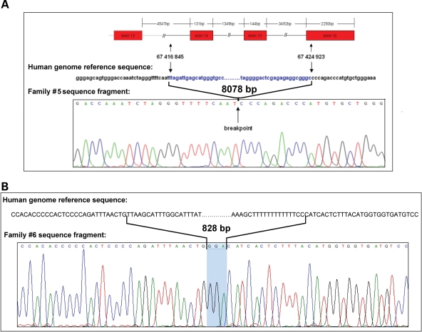 Figure 3.