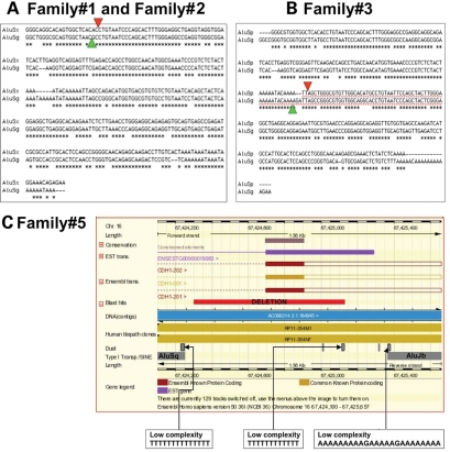 Figure 4.