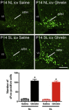 Figure 6