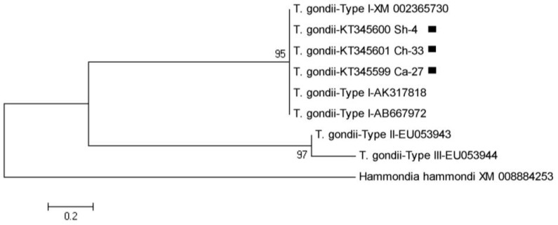 Fig. 5: