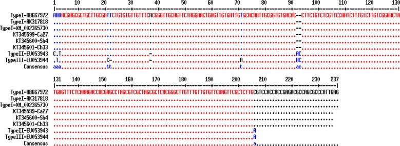 Fig. 4: