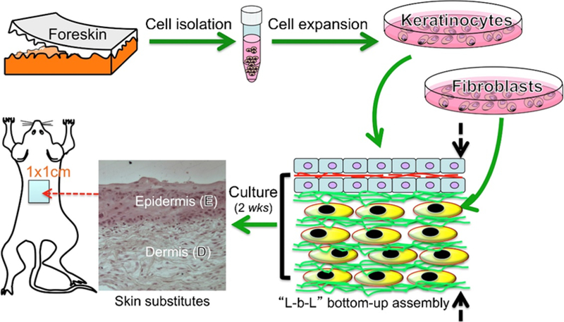 Figure 3.