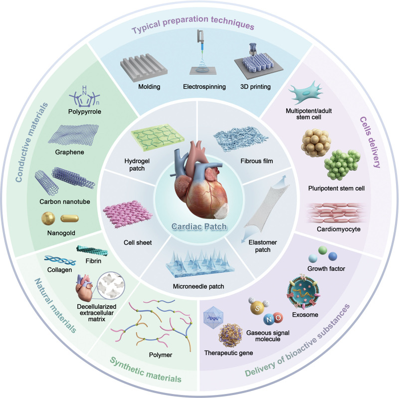 Advanced Cardiac Patches for the Treatment of Myocardial Infarction - PMC