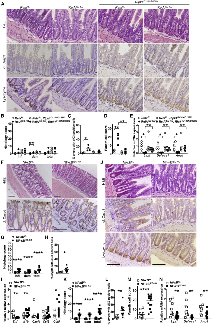 Figure 7