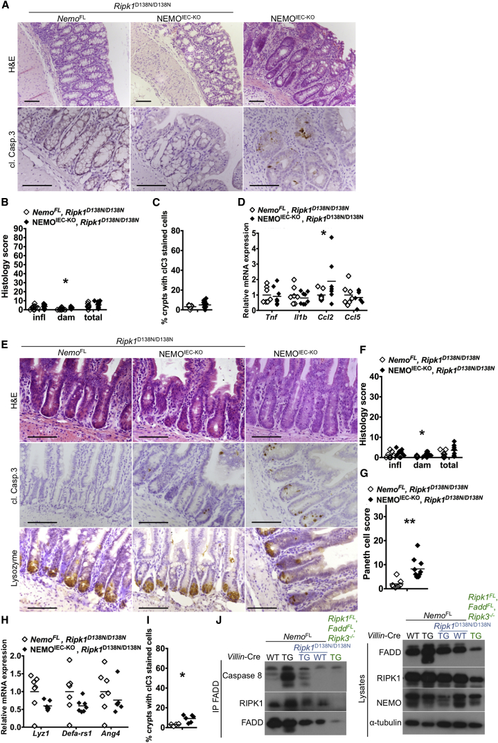 Figure 6