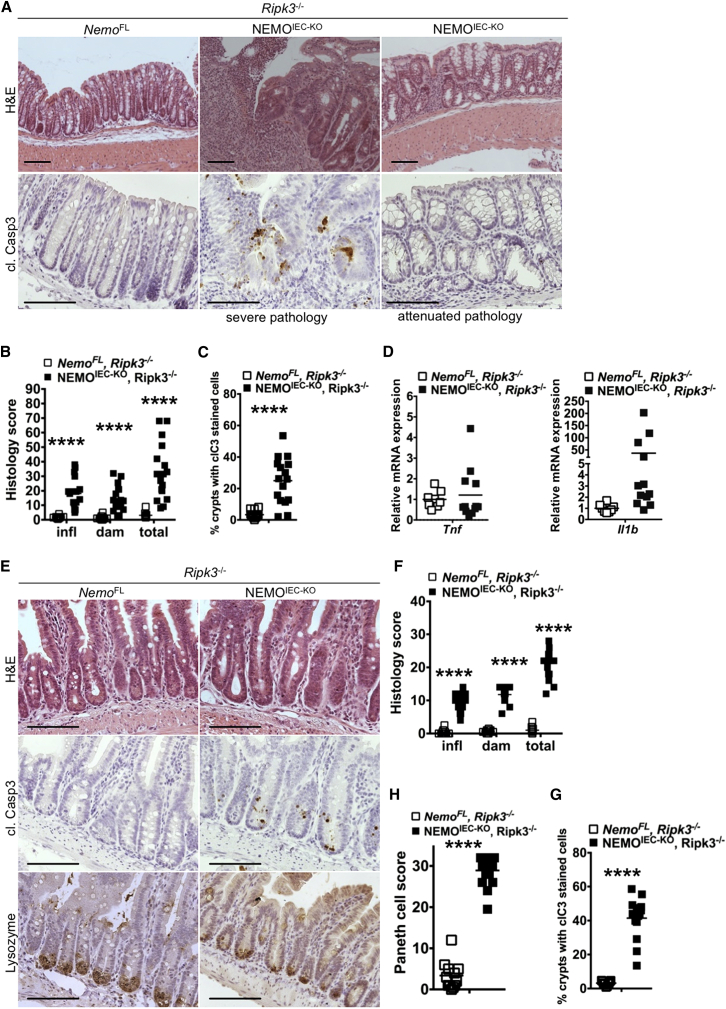 Figure 5