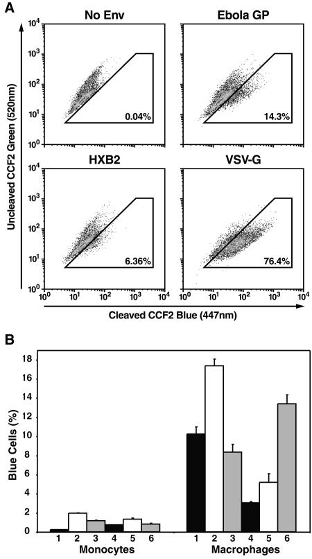 FIG. 3.