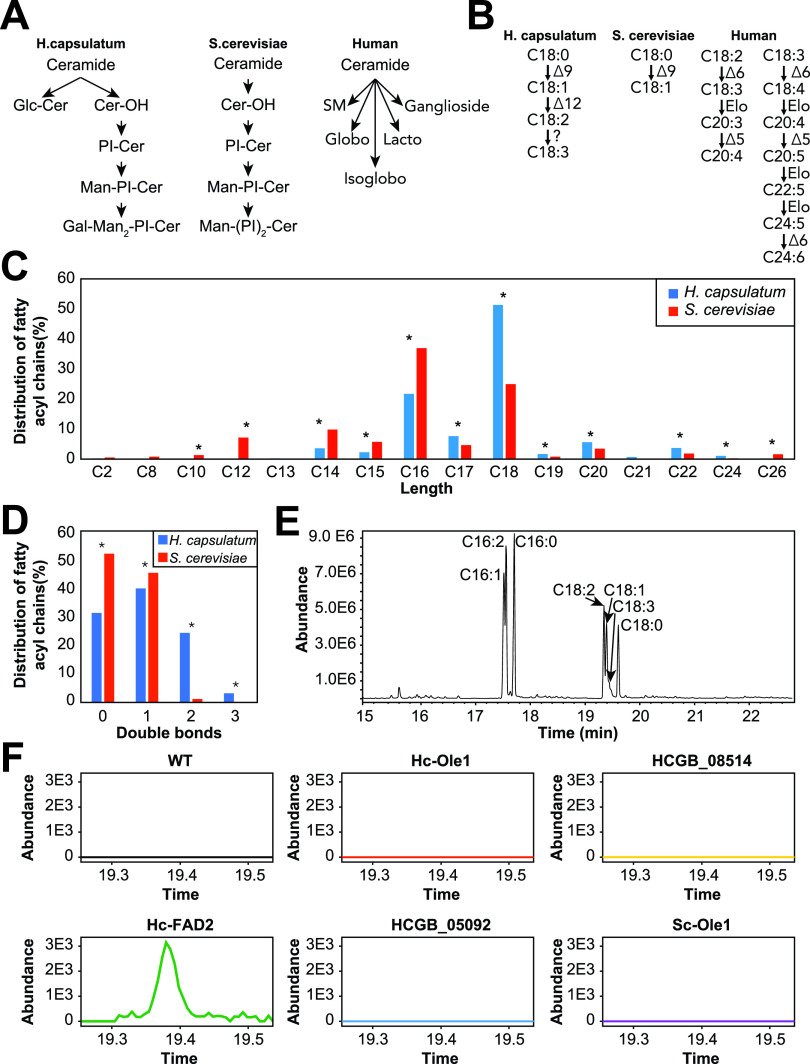 FIG 4