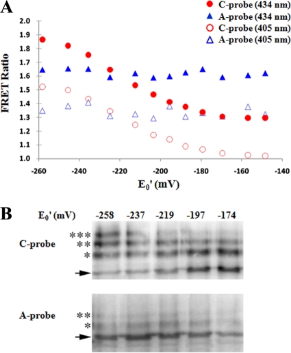 FIG. 2.