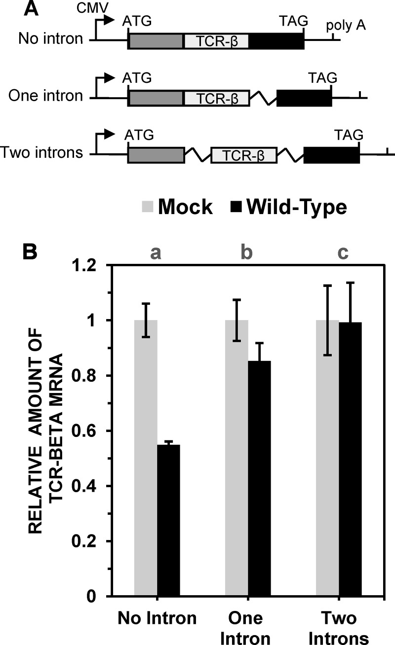 FIG 2