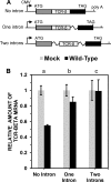 FIG 2