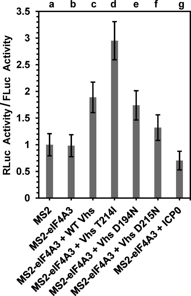 FIG 6