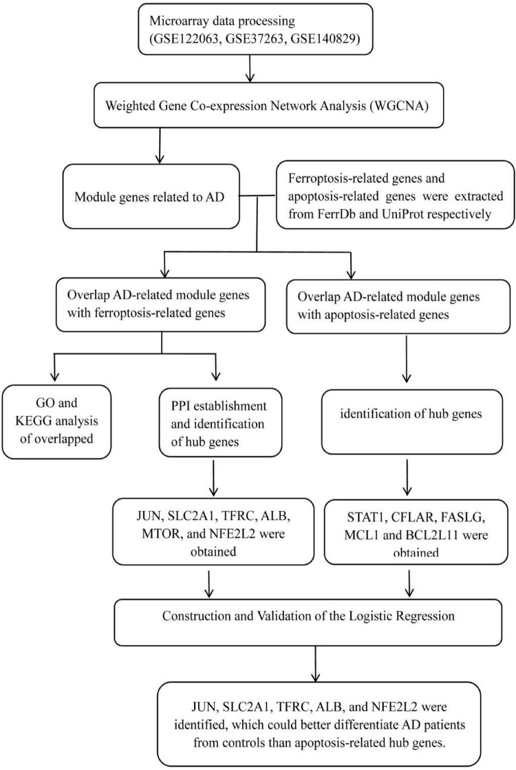 FIGURE 1