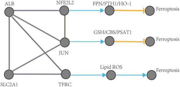 FIGURE 10