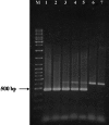 FIG. 5.