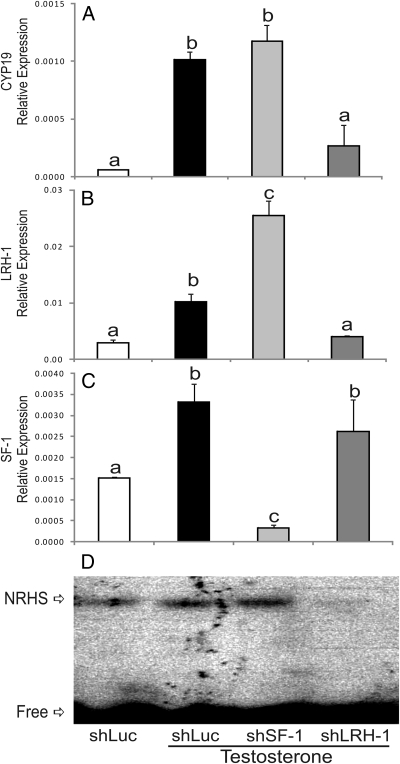 Fig. 9.