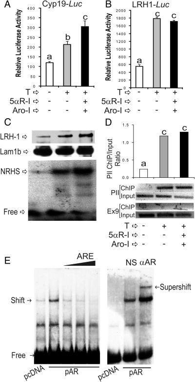 Fig. 10.