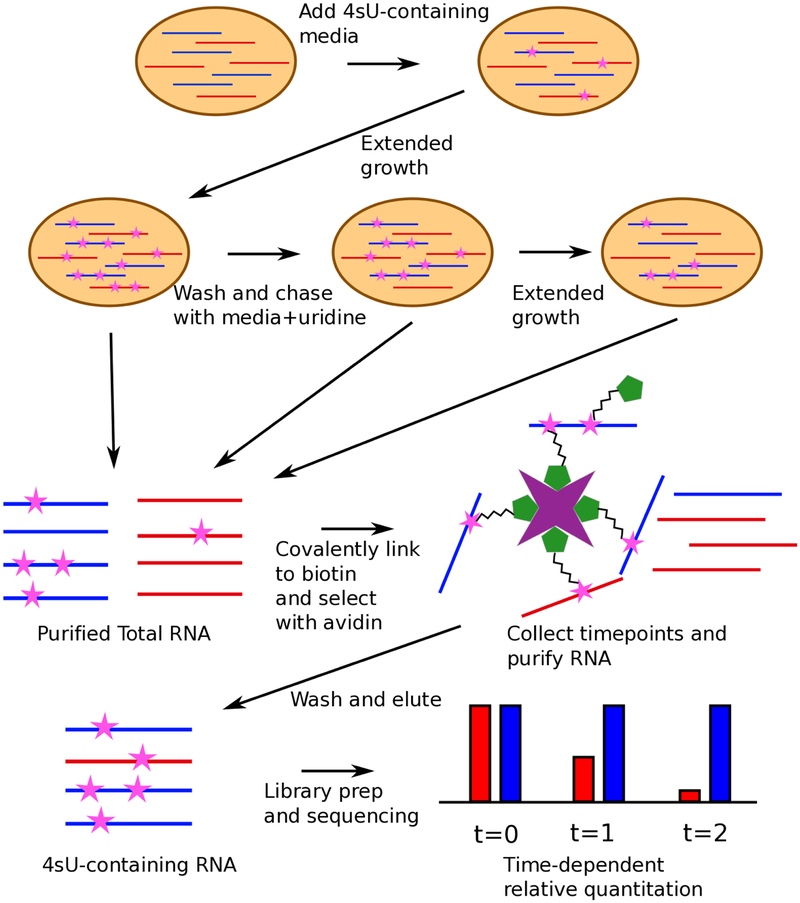 Figure 2: