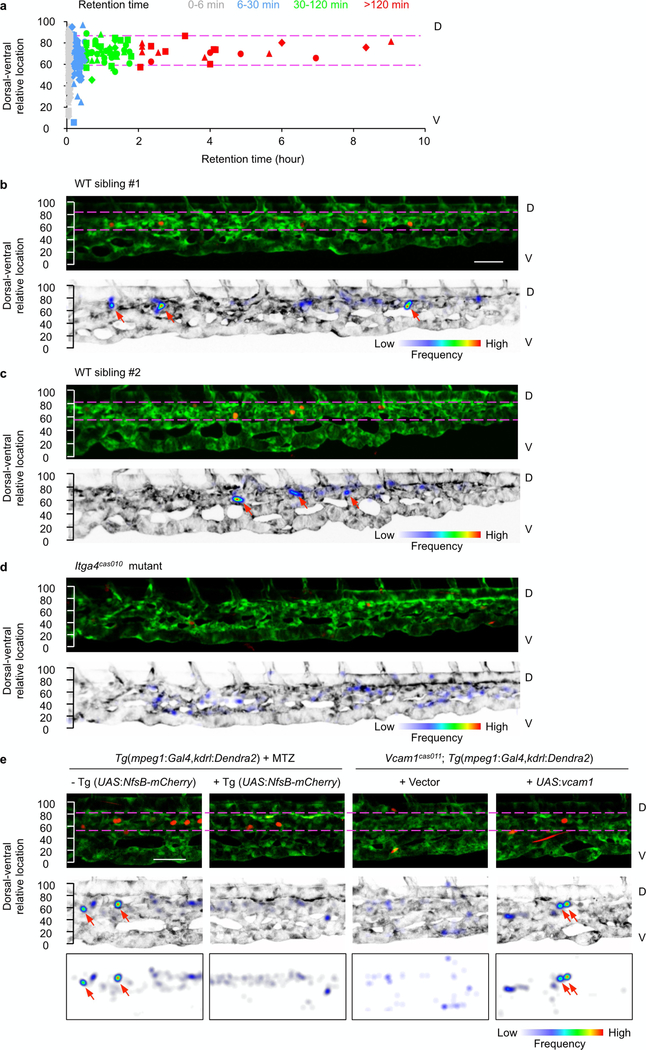 Extended Data Fig. 4 |