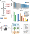 Figure 1. Overview of GDD-ENS model. A, Cohort diagram, detailing samples used to form a training and testing cohort. Hematologic refers to blood-based cancers (i.e., leukemias) sequenced using MSK-IMPACT before the development of a separate nonsolid tumor assay. B, Training set distribution of cancer types included after expanding GDD-RF to GDD-ENS, colored by model inclusion. Any type with fewer than 350 examples is upsampled via replacement during training. NSCLC, non–small cell lung cancer; GIST, gastrointestinal stromal tumor; SQC, squamous cell carcinoma; SCLC, small cell lung cancer; PNET, pancreatic neuroendocrine tumor; Lu-NET, lung neuroendocrine tumor; GI-NET, gastrointestinal neuroendocrine tumor; Carc., carcinoma; MPNST, malignant peripheral nerve sheath tumor. C, Distribution of informative feature types. “Other” refers to clinical features or numerical features representing overall mutational burden across categories. Allele-specific hotspot features annotate hotspot mutation (i.e., KRAS G12C), whereas gene-specific hotspot features only specify the gene altered (KRAS hotspot). CNAs, copy-number alterations. D, GDD-ENS workflow from patient to output. All nonclinical features are derived from the MSK-IMPACT sequencing assay and then fed into GDD-ENS. GDD-ENS reports the top three tumor-type predictions with confidence estimates, along with 10 most important features for the top prediction on a patient-specific basis. Workflow overview created with BioRender (https://www.biorender.com/).