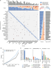 Figure 2. GDD-ENS performance across cancer types. A, Row-normalized confusion matrix of high-confidence predictions across cancer types. Off-diagonal values correspond to the proportion of the row, predicted cancer type that is a column, true type. The true prostate cancer predicted ependymoma off-diagonal value indicates a single prostate cancer sample that was predicted as ependymoma, likely due to low tumor burden as it just passed the inclusion thresholds for tumor content. Due to rounding, some rows may not sum to 100. Top bar graphs indicate test set count (top) and type-specific recall across confidence levels. The left bar graphs represent high-confidence positive predictive value (high conf. PPV, right) and type-specific precision. Sorted by overall type precision on both axes. B, Calibration plot for GDD-single models and GDD-ENS ensemble. The X-axis represents maximum confidence after binning outputs into five equally sized ranges, and the Y-axis represents the overall accuracy of all predictions within that range. The blue line represents the GDD-ENS model; dark gray line and shaded regions represent mean GDD-Single accuracy and 95% confidence interval, respectively. Expected calibration error (ECE) calculated as per Methods. C, Shapley value score distributions for correct GDD-ENS predictions across individual types (left, middle) and all predictions (right). Importance score proportion represents the proportion of total Shapley value scores after summing the absolute Shapley value per feature across the specified subset, normalized as per Methods.