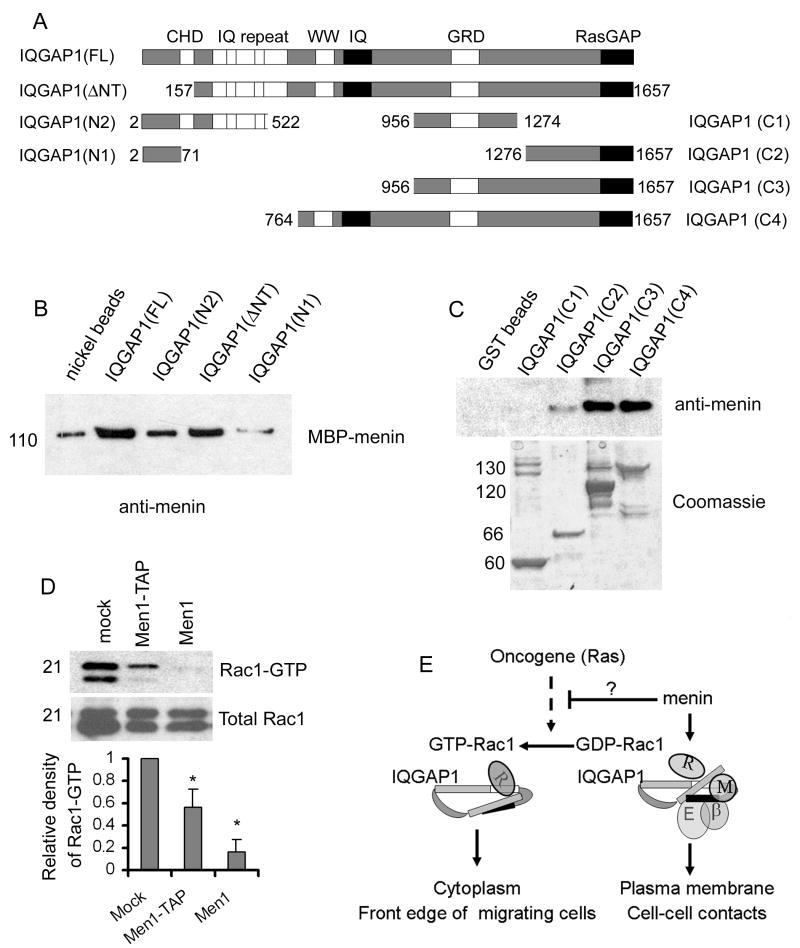 Fig.6