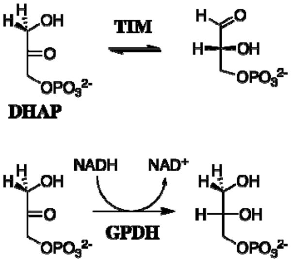 Scheme 3