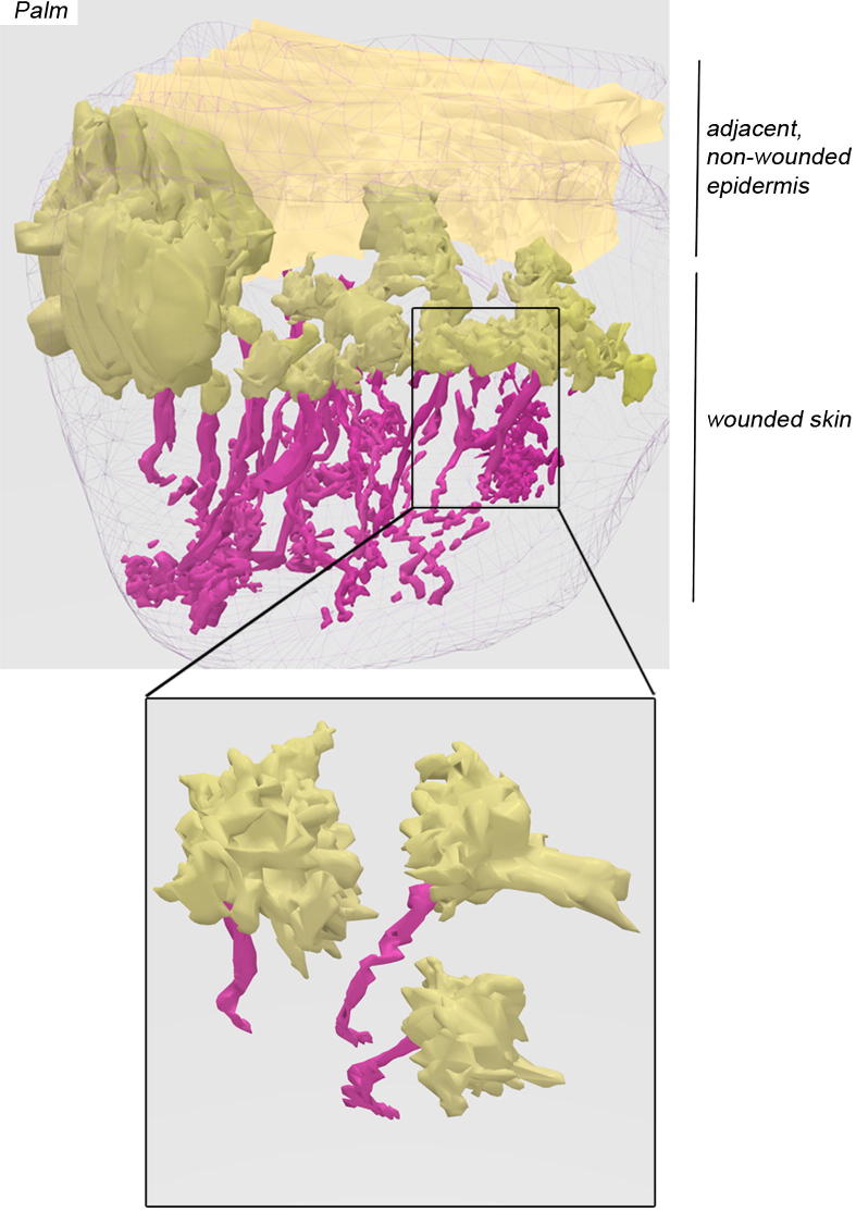 Figure 5