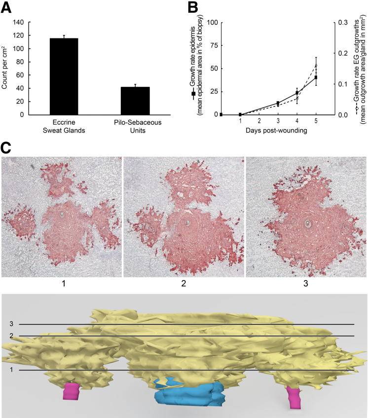 Figure 4