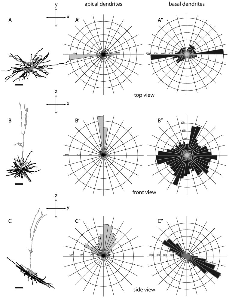 Figure 20