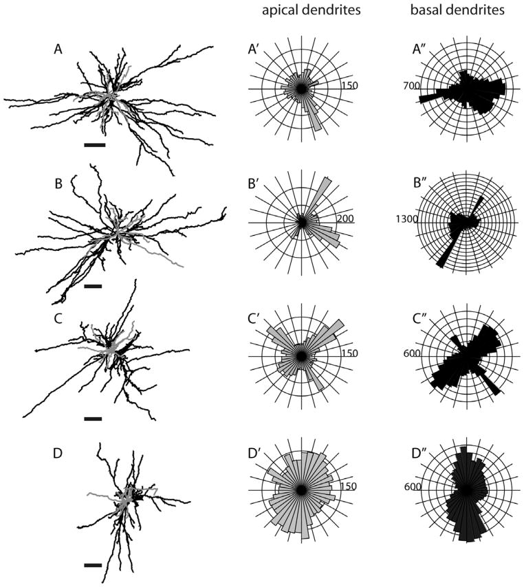 Figure 18