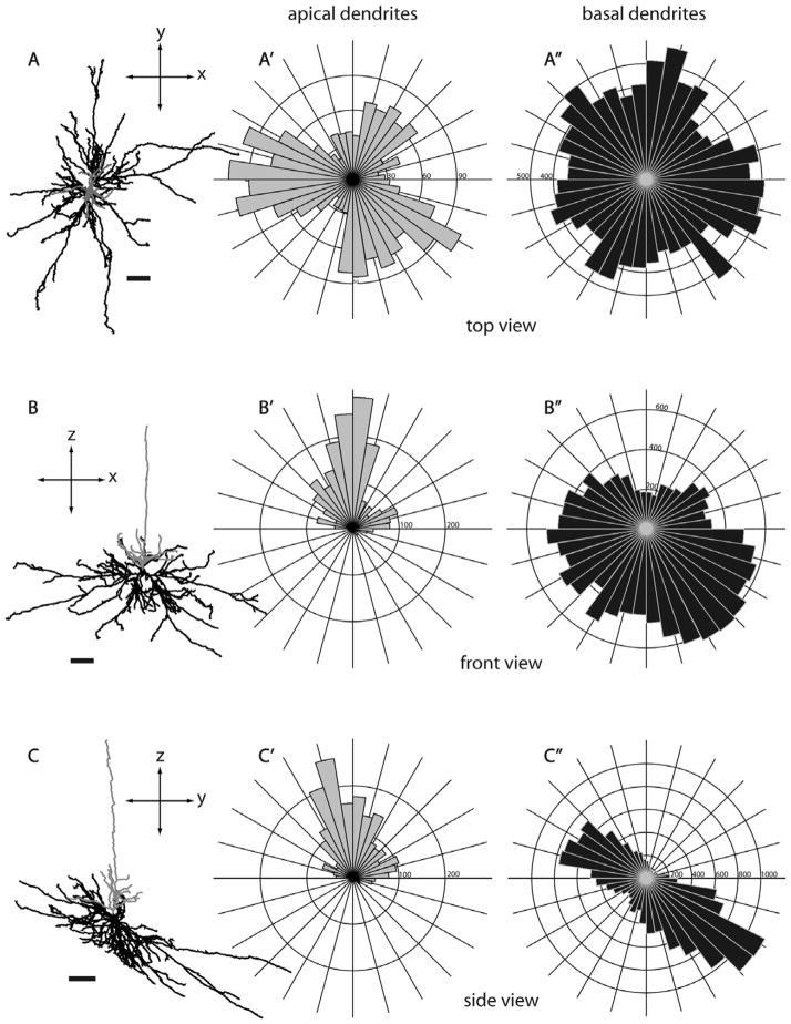 Figure 17