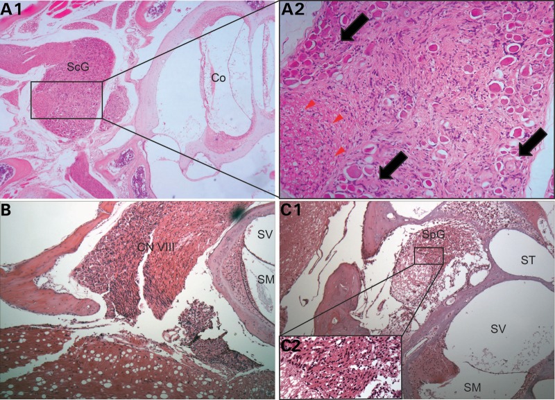 Figure 3.