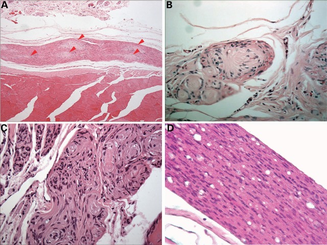 Figure 2.