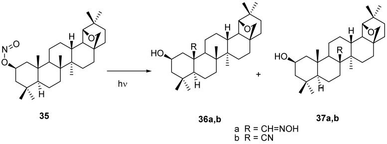 Scheme 5