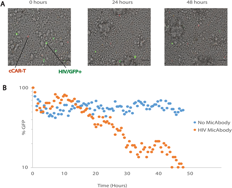 Figure 4: