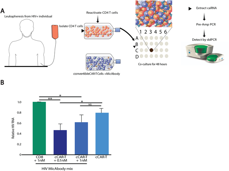 Figure 6: