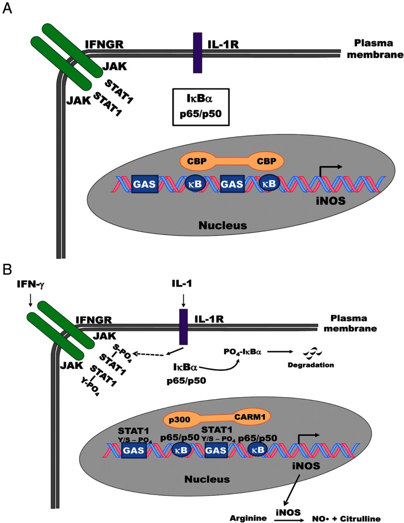 Figure 10.